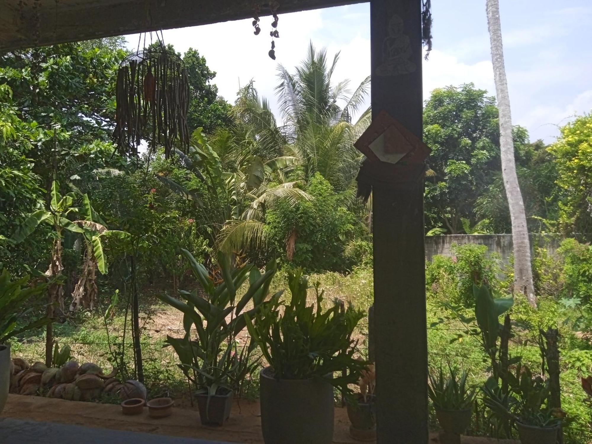 Julianu Hotel Tangalle Eksteriør billede