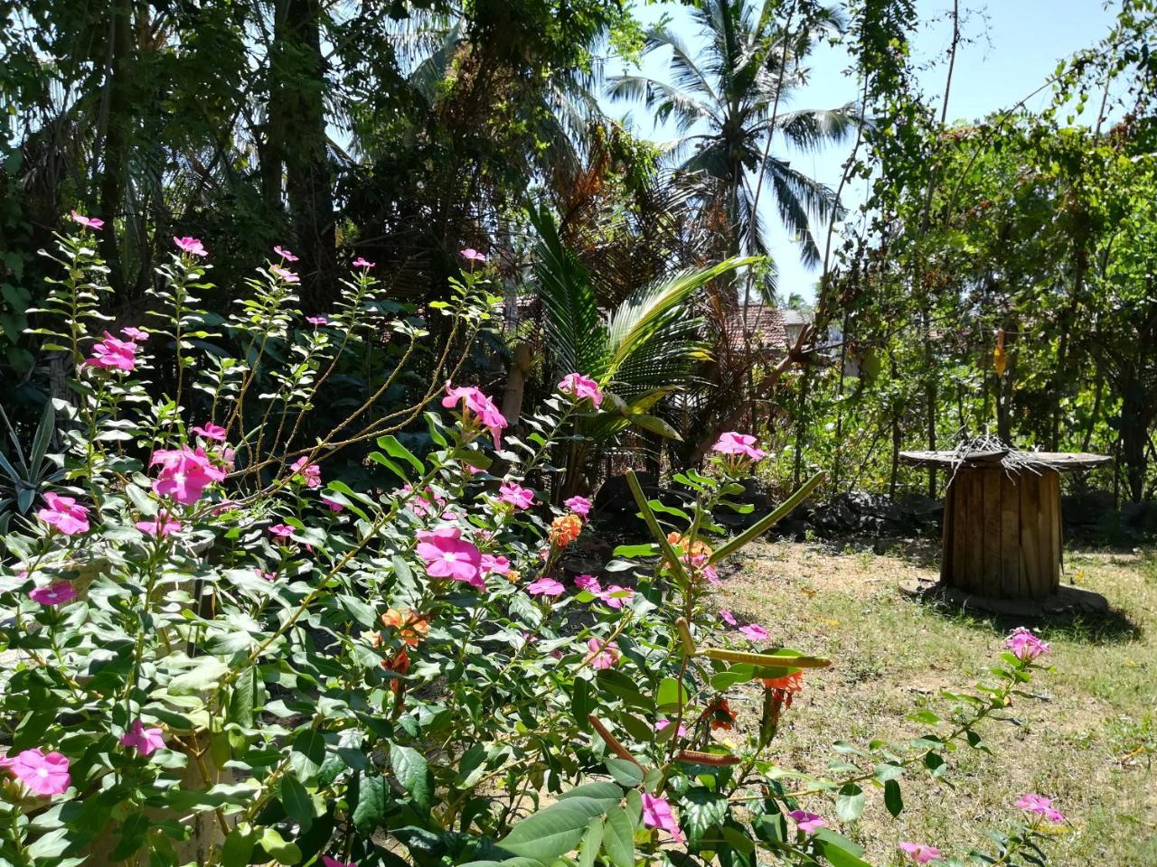 Julianu Hotel Tangalle Eksteriør billede