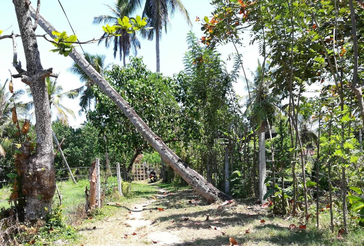 Julianu Hotel Tangalle Eksteriør billede